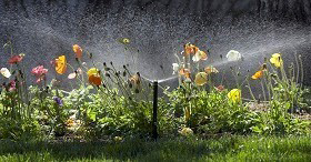 Sprinkleranlage Garten