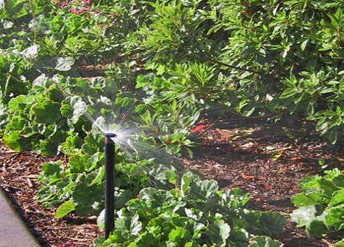 Bew�sserungssteuerung f�r Rasen und Pflanzen