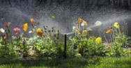 Automatische Bewässerung Rasen und Pflanzen