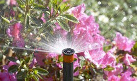 Rasensprinkler für Rasenbewässerung und Sprenger für die Gartenbewässerung
