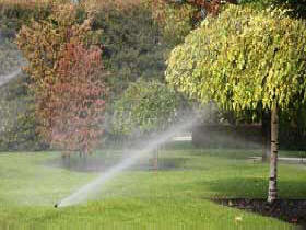 Gartenbewässerung und Rasenbewässerung